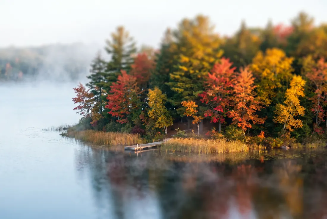 Tilt-shift miniature of a wooded lakeshore in autumn colours, with reeds, a small dock and morning mist on calm water